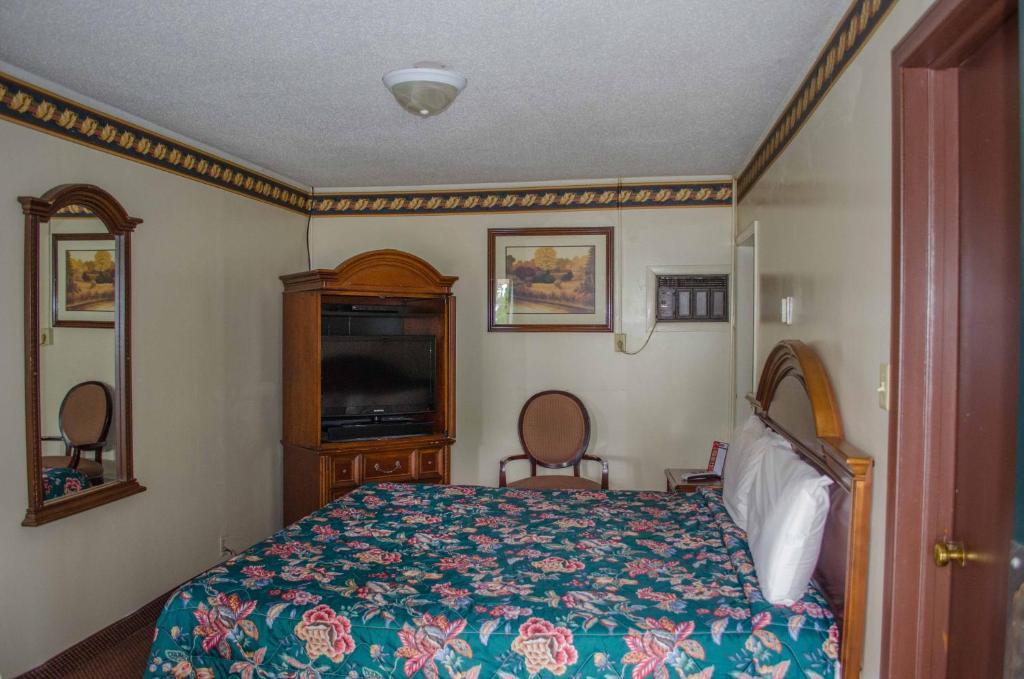 Delta Motel ベイシティ 部屋 写真